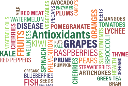 Healthy Food Antioxidants Word Cloud PNG image