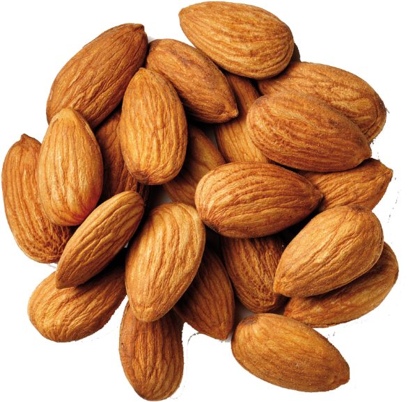 Heapof Fresh Almonds PNG image