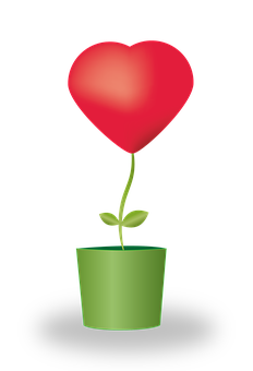 Heart Plant Growth Concept PNG image