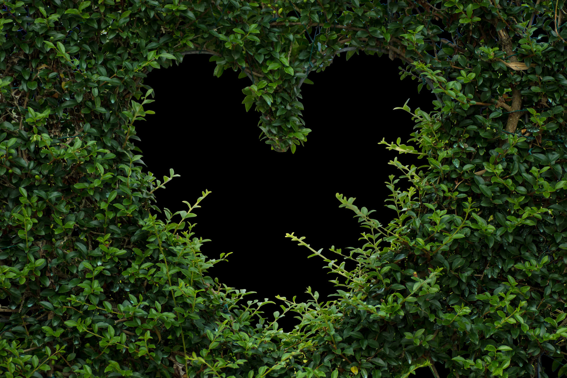 Heart Shaped Hedge Opening PNG image