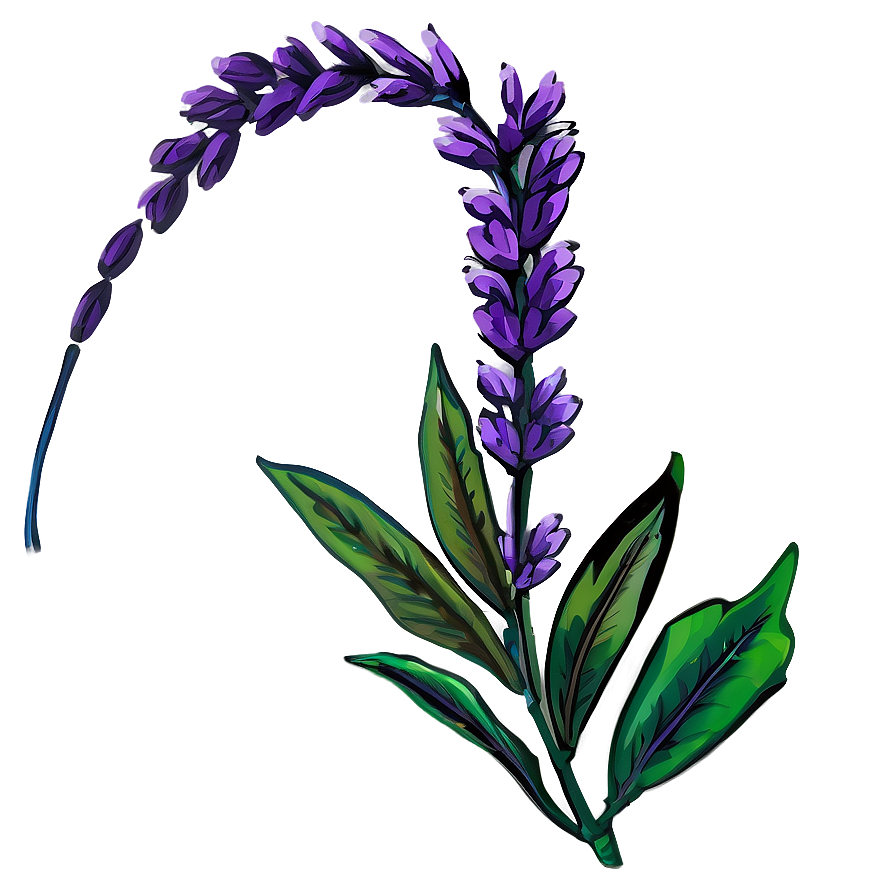 Heather Flower Art Png 05252024 PNG image