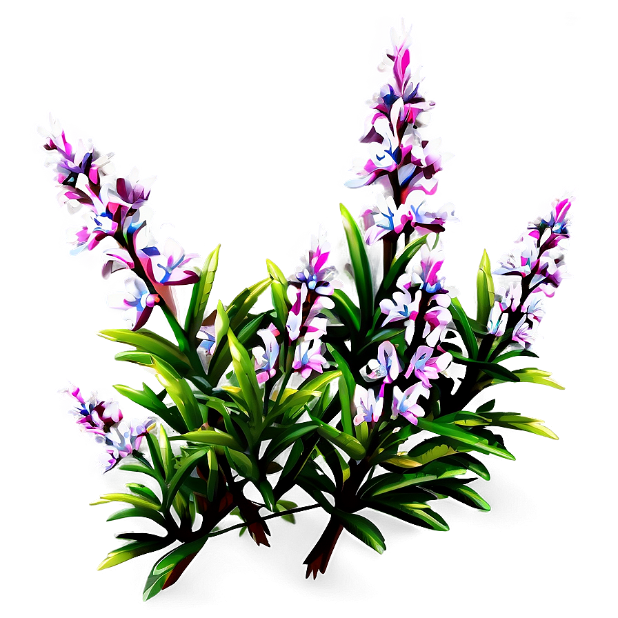 Heather Flower Bush Png Cyt41 PNG image