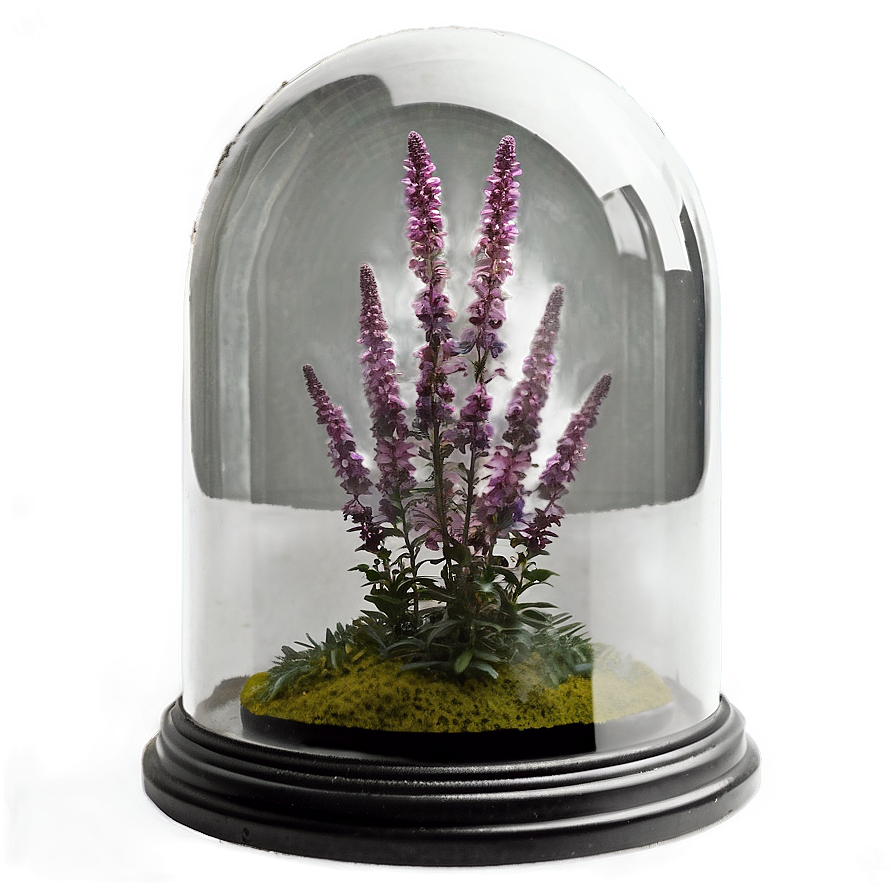 Heather In Glass Dome Png 06122024 PNG image