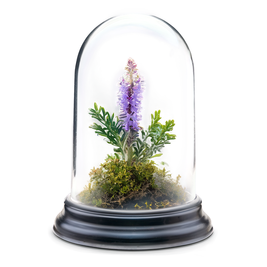 Heather In Glass Dome Png 41 PNG image