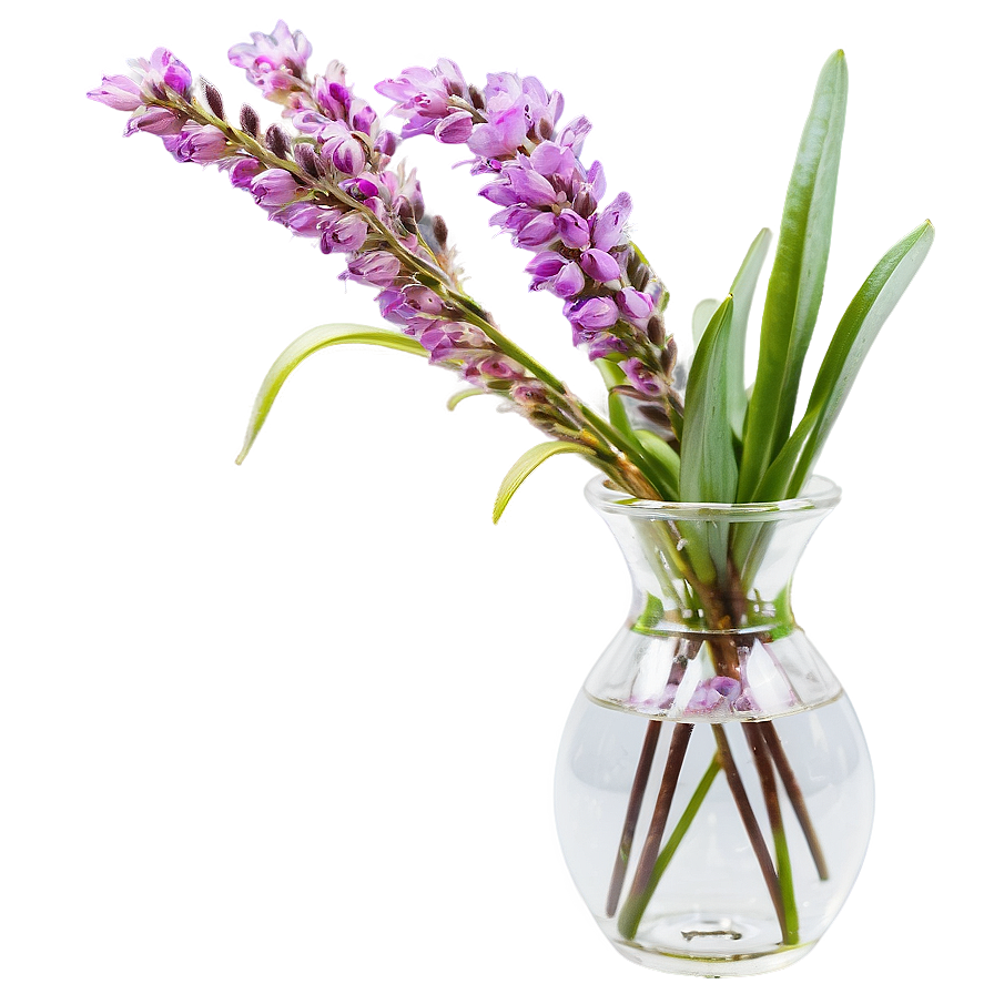 Heather In Vase Png Jhr88 PNG image