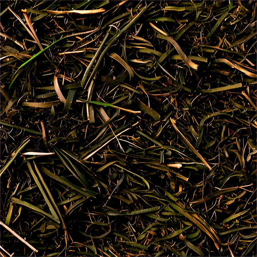 Heavy Duty Landscape Mulch Png 23 PNG image