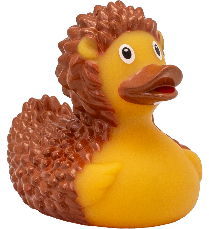 Hedgehog Themed Rubber Duck PNG image