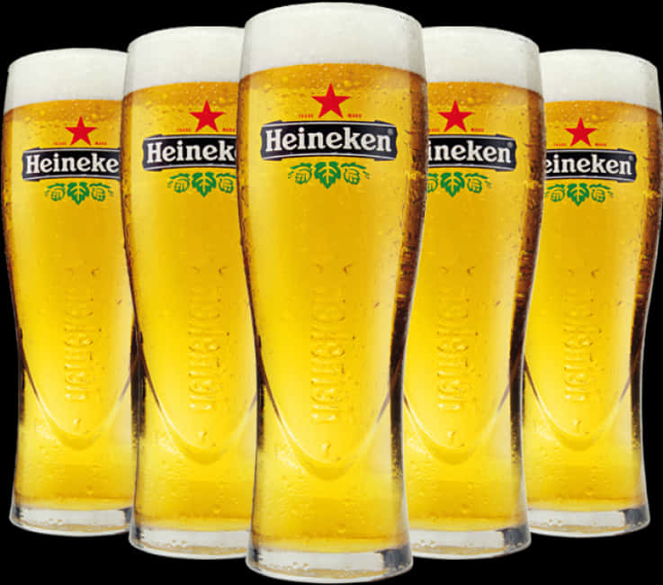 Heineken Beer Glassesina Row PNG image