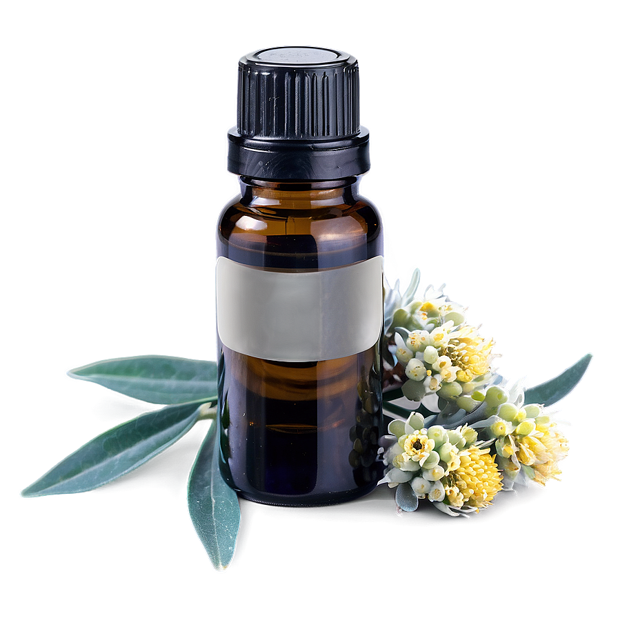 Helichrysum Essential Oil Png 06292024 PNG image