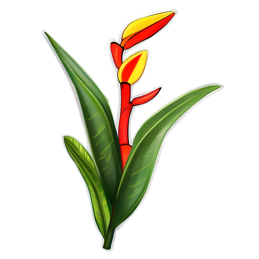 Heliconia Flower Drawing Png Wwp PNG image