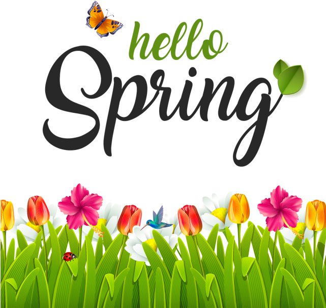 Hello Spring Greeting Card Design PNG image