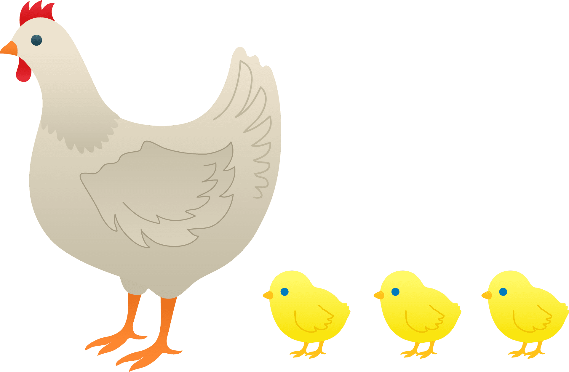 Henand Chicks Illustration PNG image