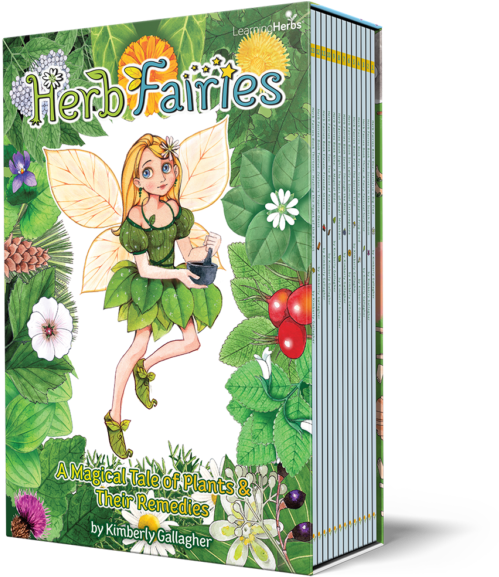 Herb Fairies Book Cover PNG image