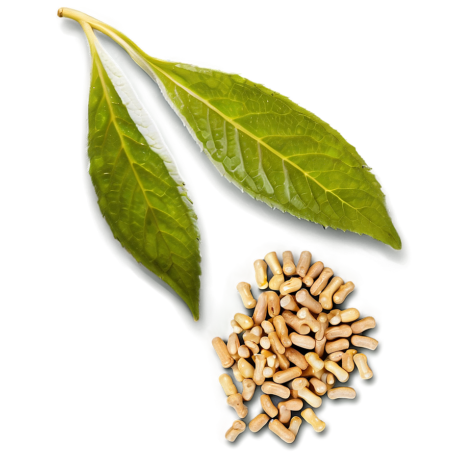 Herbal Medicine Png 22 PNG image