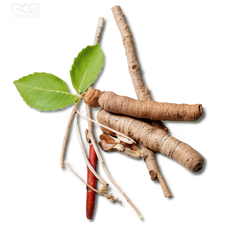 Herbal Root Medicine Png 06252024 PNG image