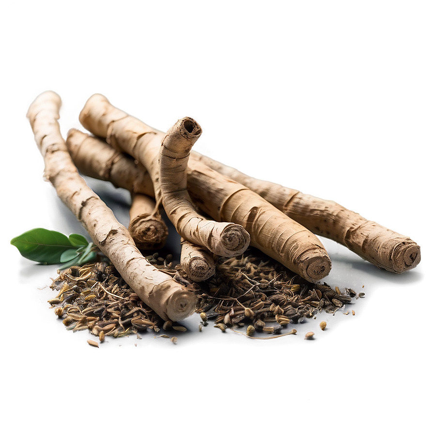 Herbal Root Medicine Png 38 PNG image