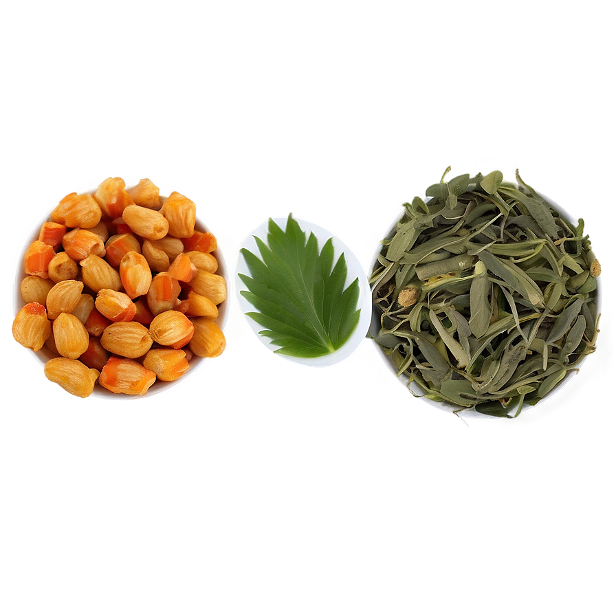 Herbal Wellness Png 88 PNG image