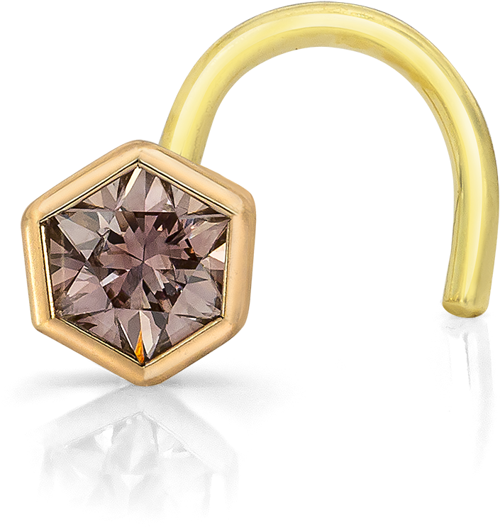 Hexagonal Gemstone Nose Ring PNG image