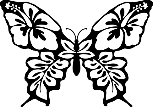 Hibiscus Butterfly Silhouette Art PNG image