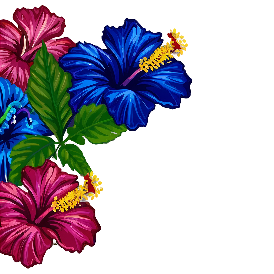 Hibiscus Flower Border Png 05252024 PNG image