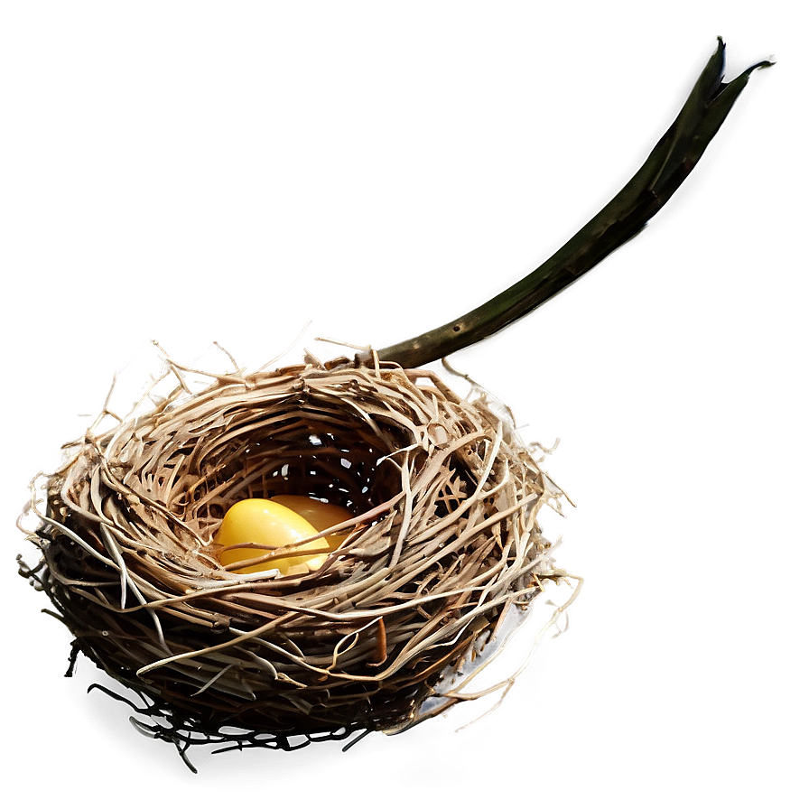 High-quality Bird Nest Png 06212024 PNG image