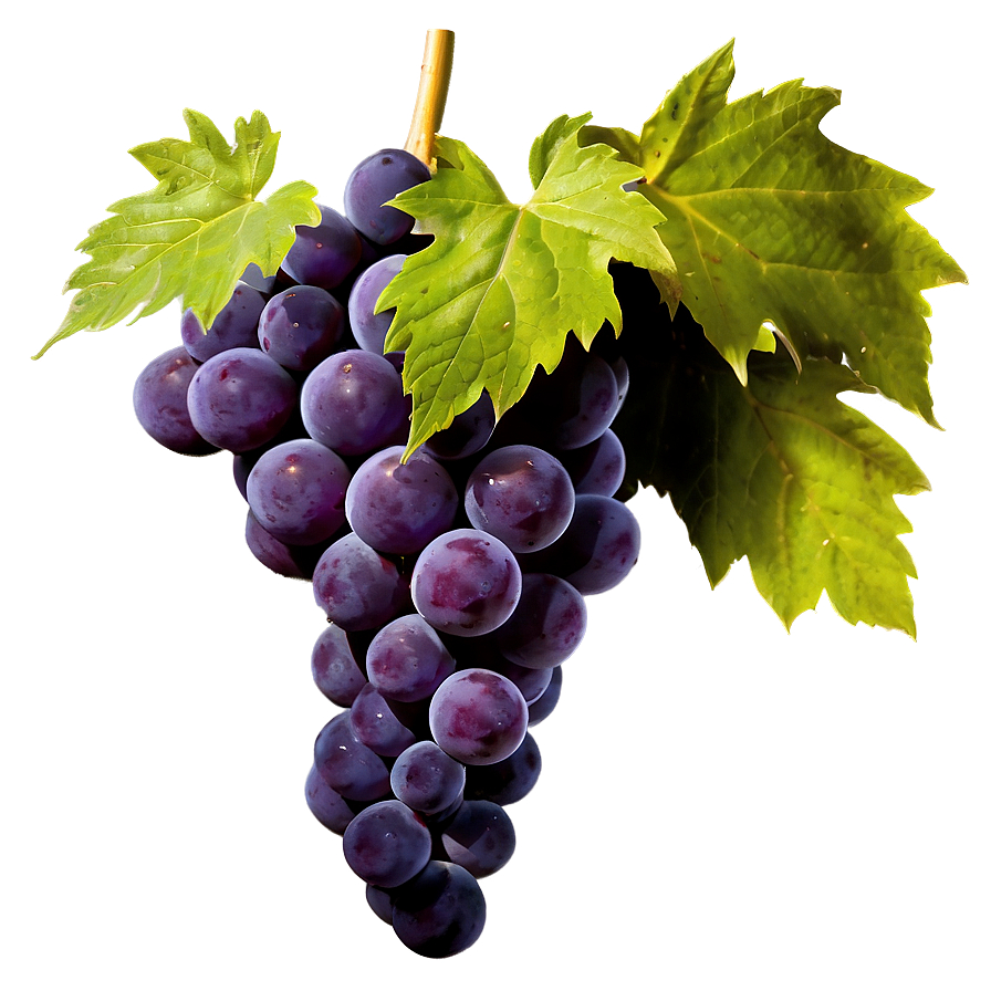 High-quality Grape Png 06292024 PNG image