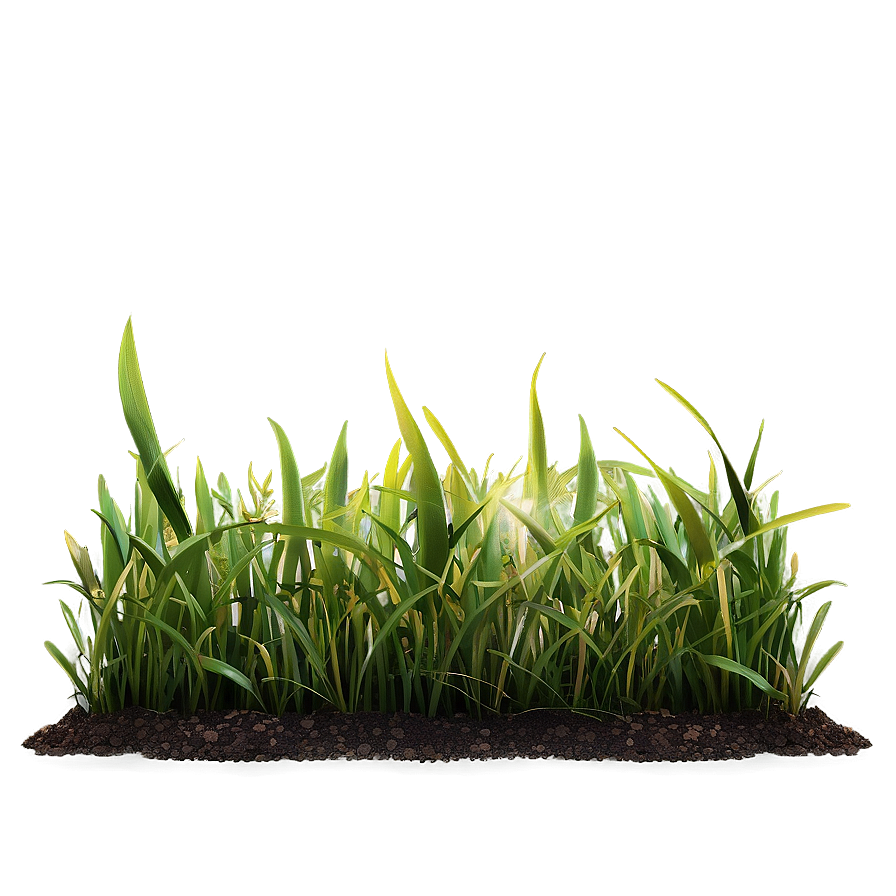 High-quality Grass Patch Png 06212024 PNG image