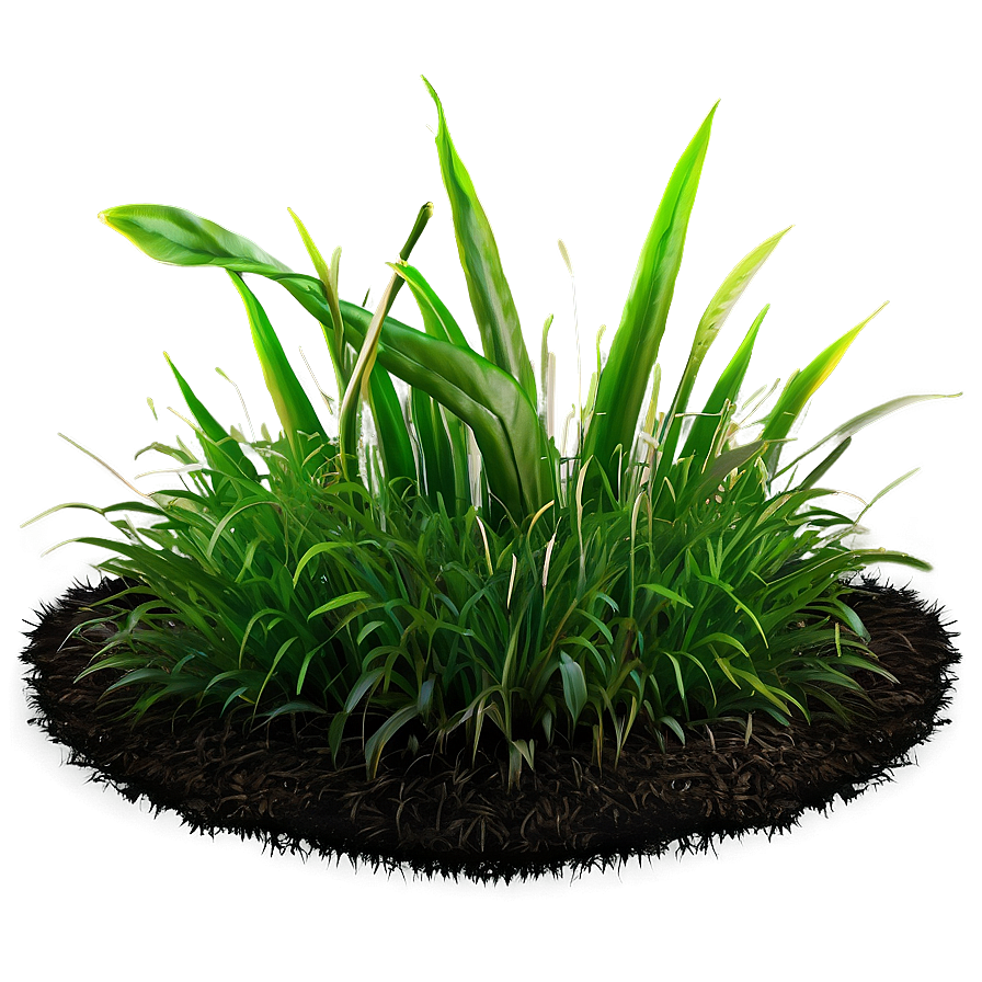 High-quality Grass Patch Png 06212024 PNG image