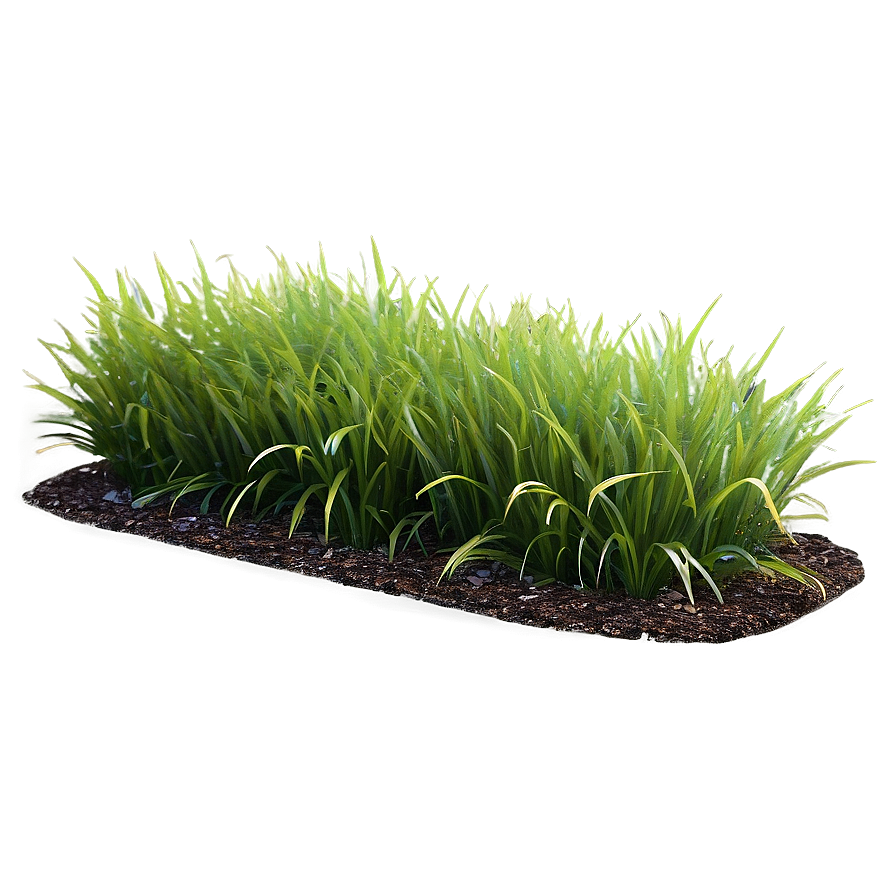 High-quality Grass Patch Png 75 PNG image