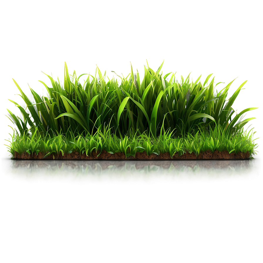 High-quality Green Grass Png Mex PNG image