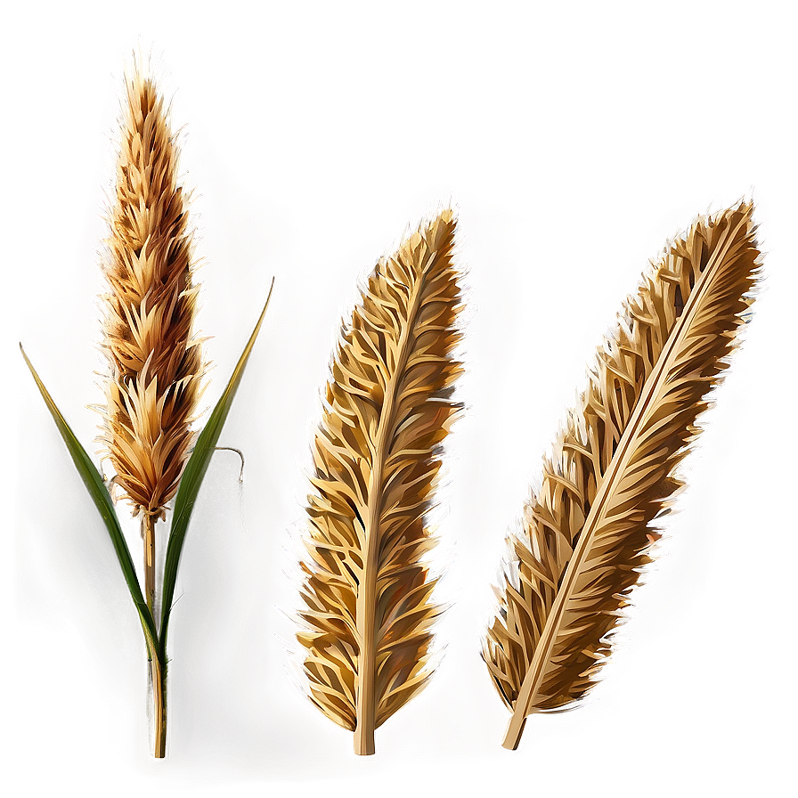 High Resolution Dry Grass Png 77 PNG image