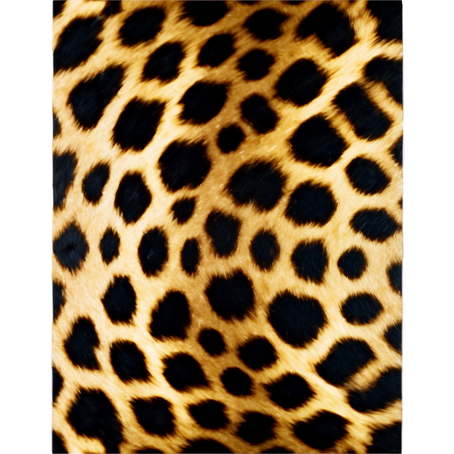 High-resolution Leopard Print Png Hys PNG image