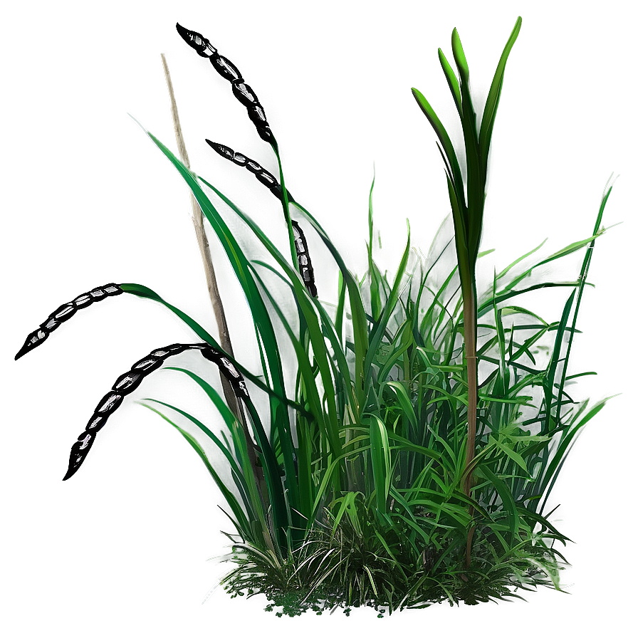 High Wild Grass Png Ldu PNG image