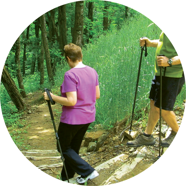 Hikers_on_ Forest_ Trail PNG image