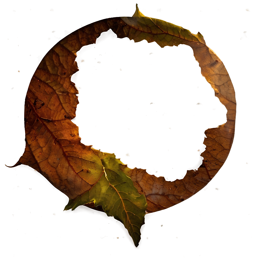 Hole In Leaf Png Uov4 PNG image