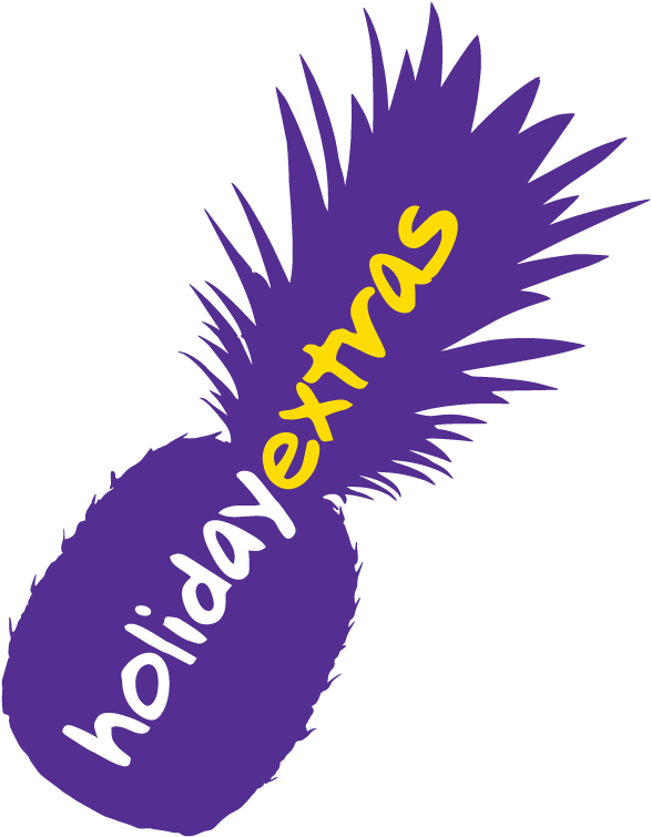 Holiday Extras Pineapple Graphic PNG image