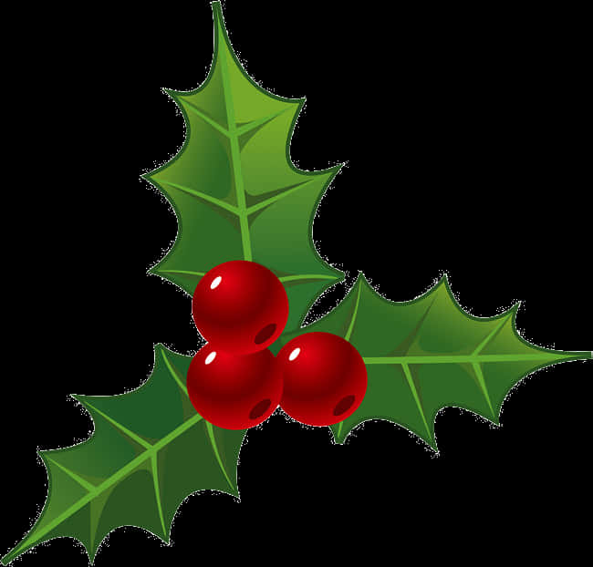 Holly Berries Christmas Decoration PNG image