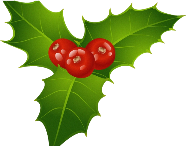 Holly Berries Illustration PNG image