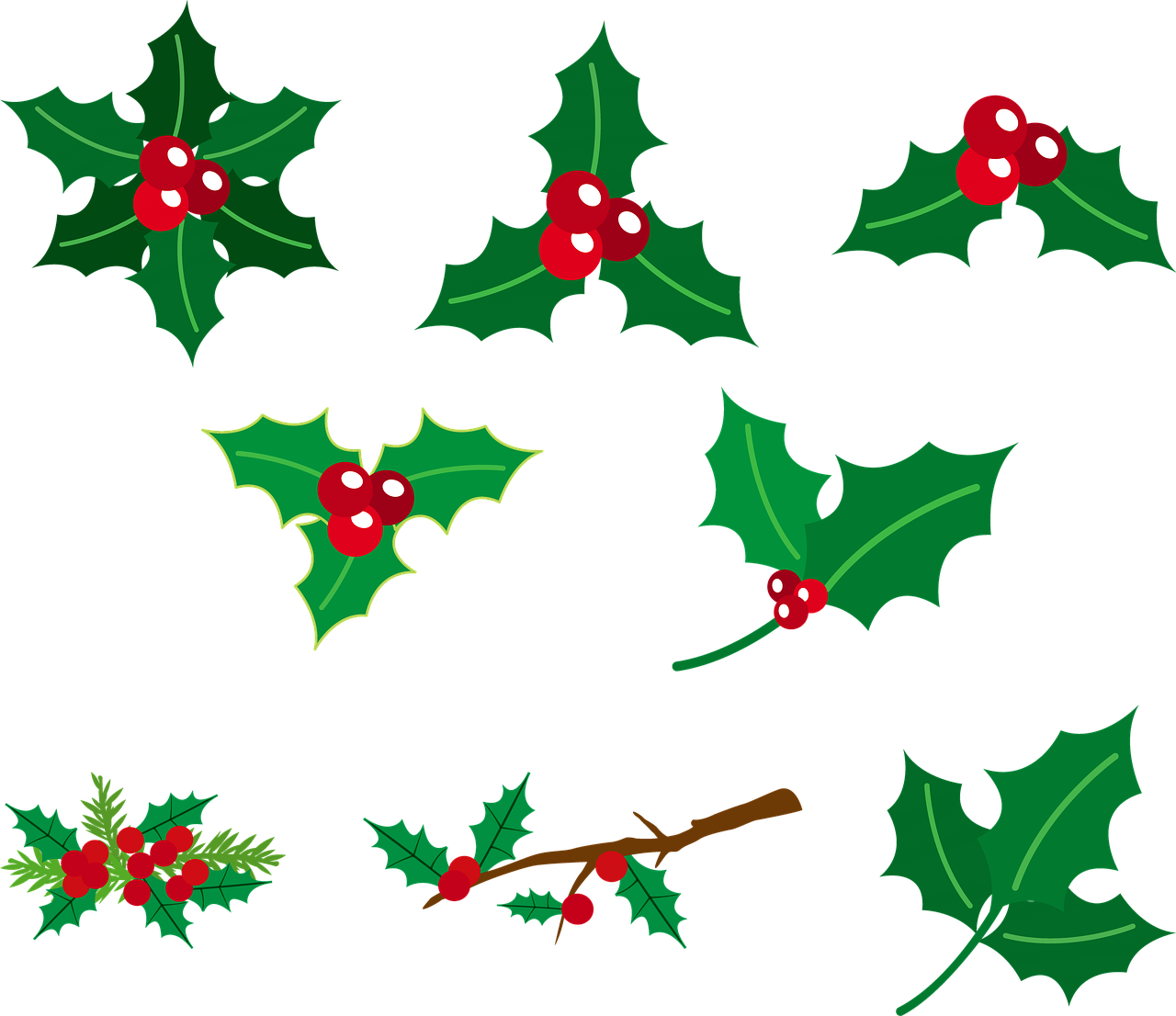 Holly Berry Pattern Graphic PNG image