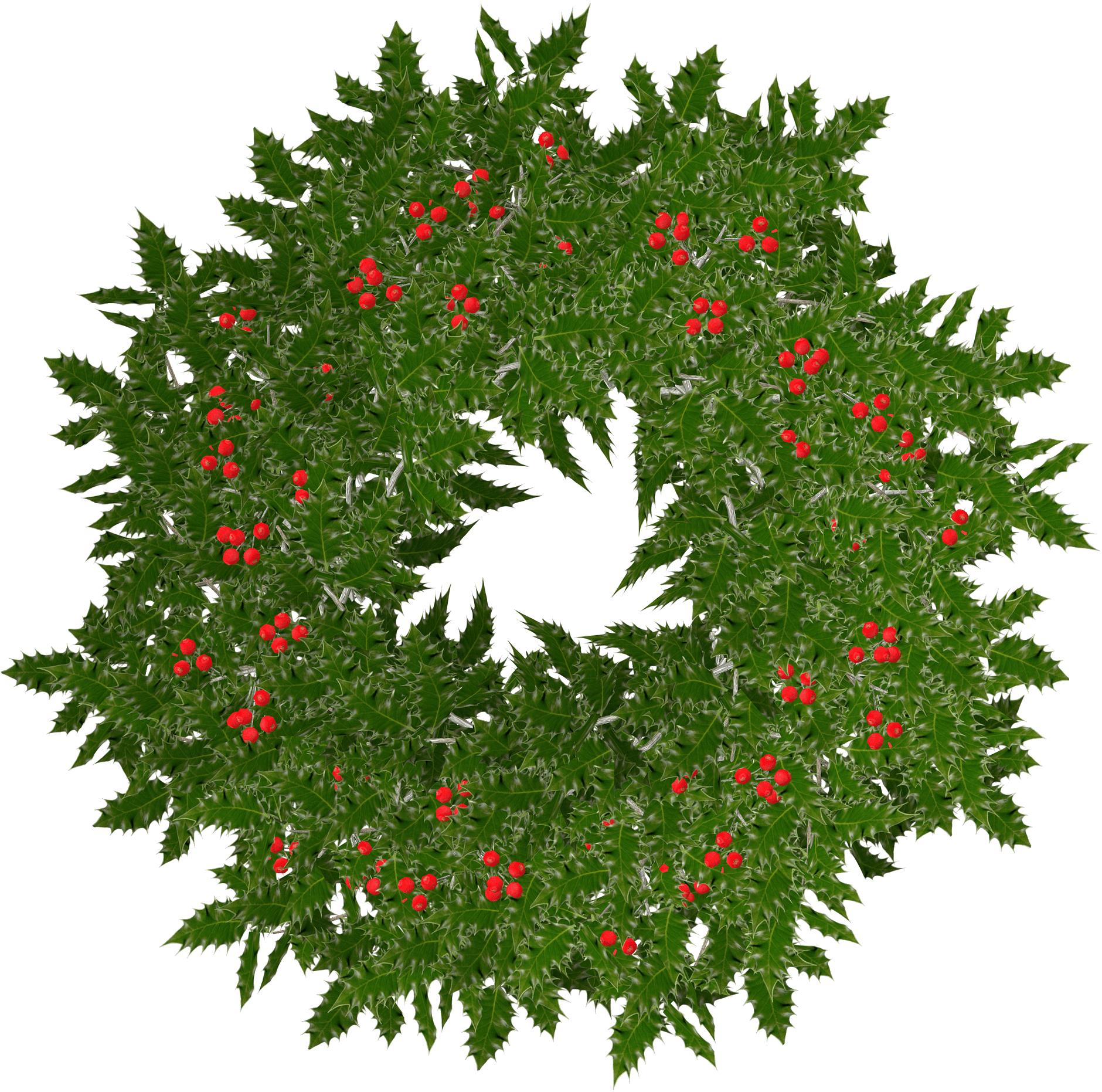 Holly Leaf Laurel Wreath PNG image