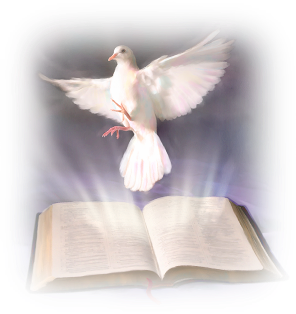 Holy Spirit Doveand Bible PNG image