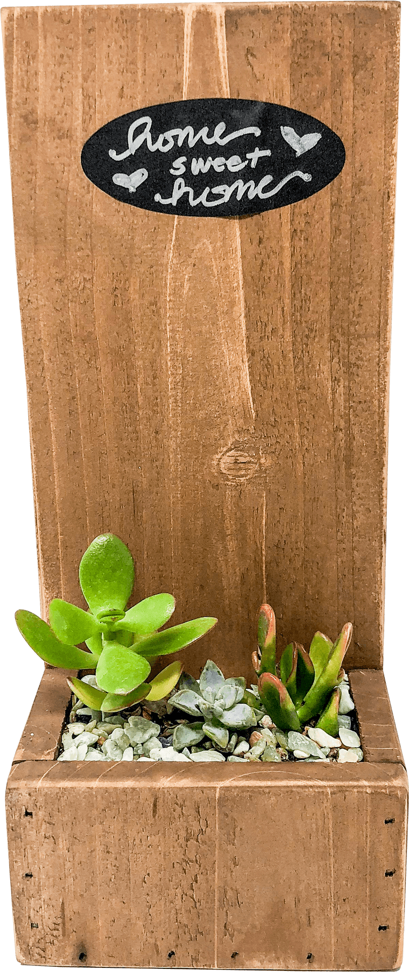 Home Sweet Home Succulent Planter PNG image