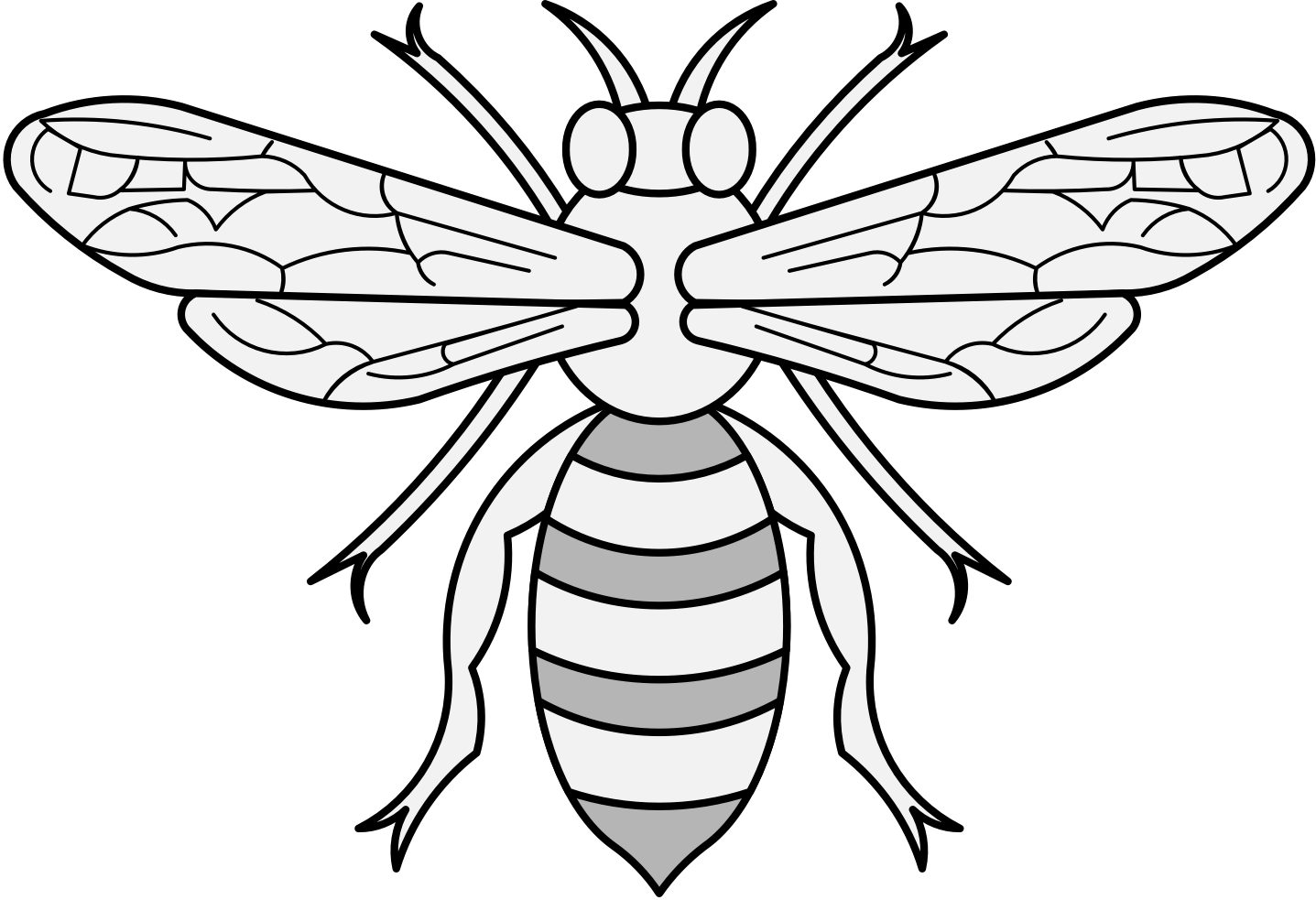 Honey Bee Illustration PNG image