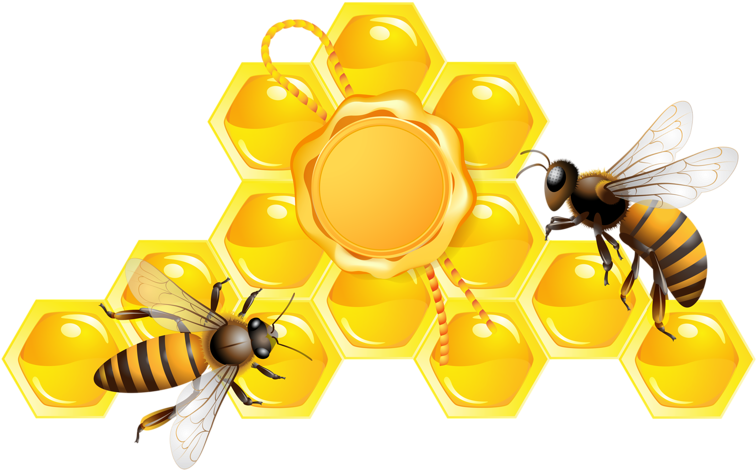 Honeybeeon Honeycomb Clipart PNG image