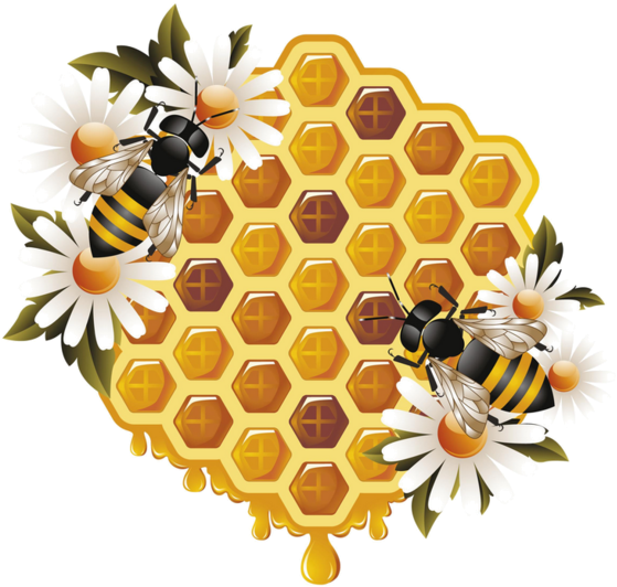Honeycomband Bees Clipart PNG image