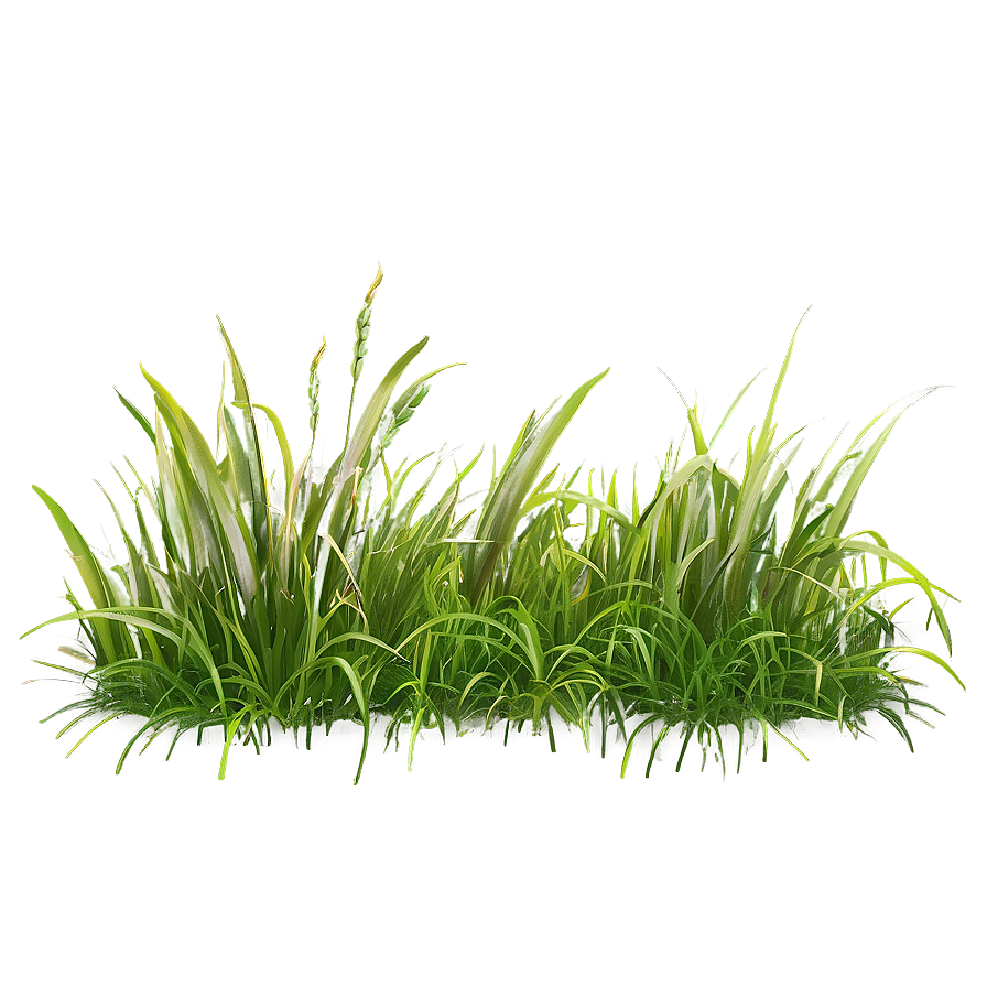 Horizontal Grass Clipart Png 06272024 PNG image