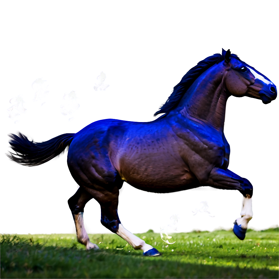 Horse Gallop Png 05032024 PNG image