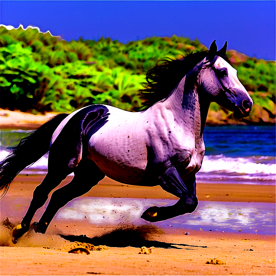 Horse Galloping On Beach Png 32 PNG image