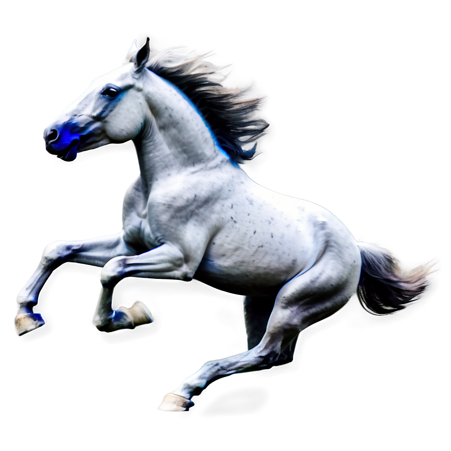 Horse Running Png Rjn PNG image