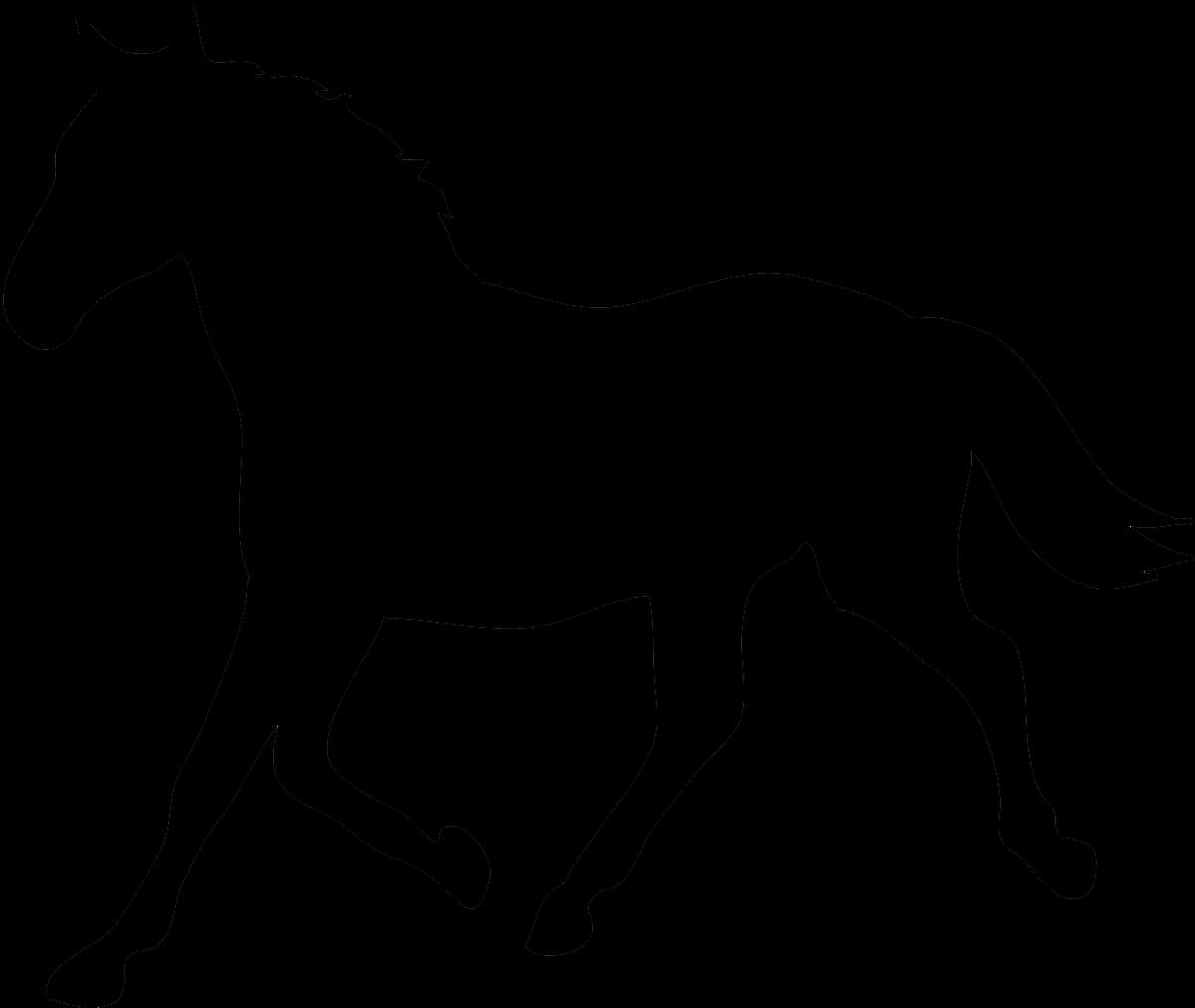 Horse Silhouette Black Background PNG image